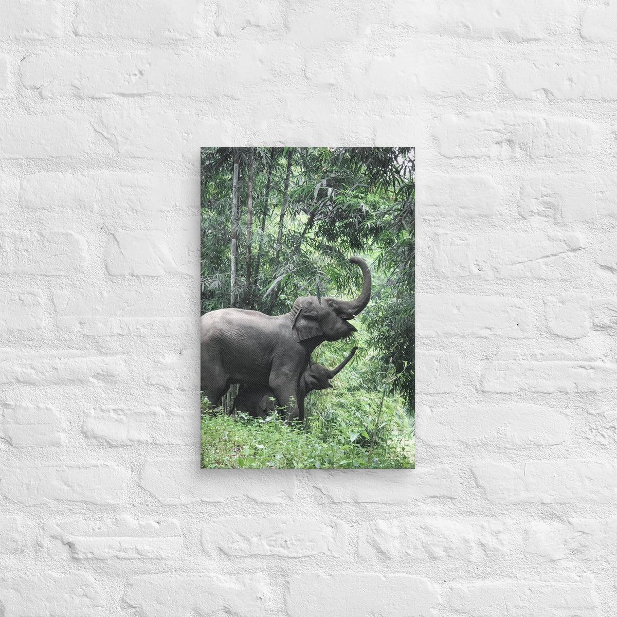 Elephants in Thailand Canvas Wall Art