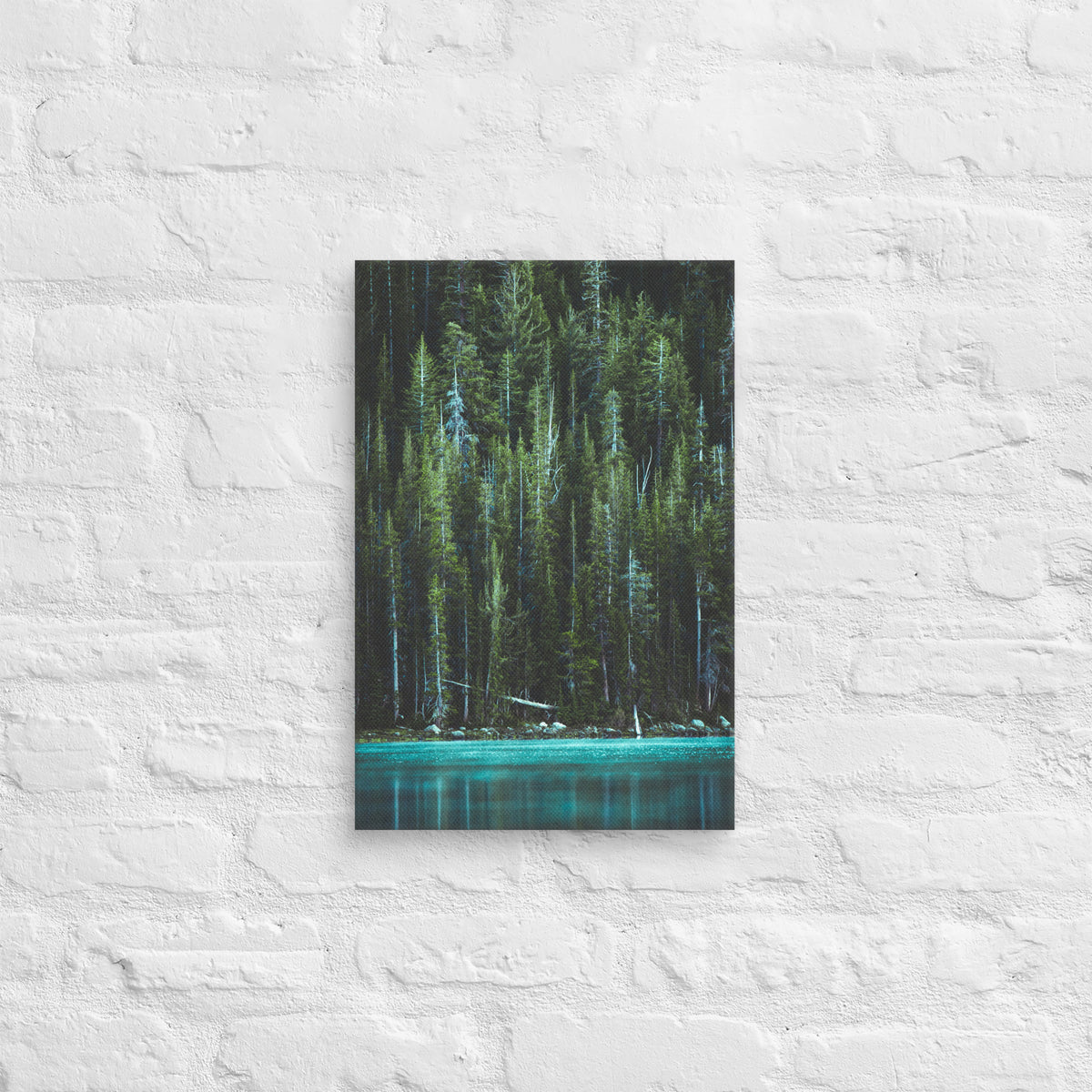 Yosemite National Park Canvas Art